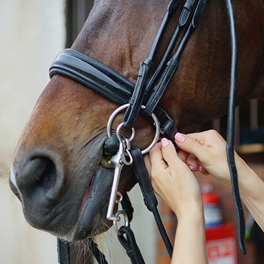 English Bridles